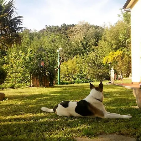 Guest house Madamadore 2*